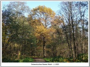 Gelsenkirchen Resser Mark im November 2020