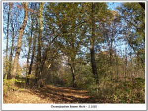 Gelsenkirchen Resser Mark im November 2020