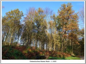 Gelsenkirchen Resser Mark im November 2020