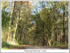 Gelsenkirchen Resser Mark im November 2020