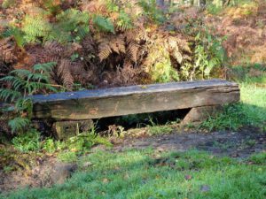 Gelsenkirchen Resser Mark im November 2020