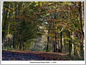 Gelsenkirchen Resser Mark im November 2020