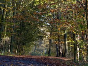 Gelsenkirchen Resser Mark im November 2020