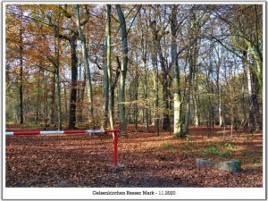 Gelsenkirchen Resser Mark im November 2020