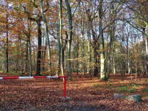 Gelsenkirchen Resser Mark im November 2020