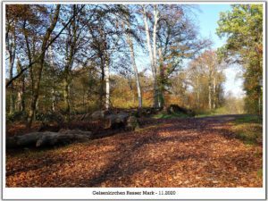 Gelsenkirchen Resser Mark im November 2020