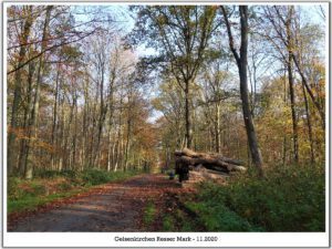 Gelsenkirchen Resser Mark im November 2020