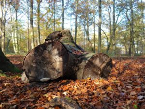 Gelsenkirchen Resser Mark im November 2020