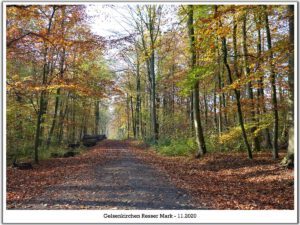 Gelsenkirchen Resser Mark im November 2020