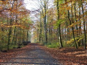 Gelsenkirchen Resser Mark im November 2020