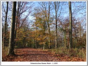 Gelsenkirchen Resser Mark im November 2020