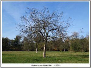 Gelsenkirchen Resser Mark im November 2020