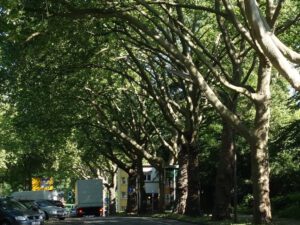 Gelsenkirchen Rotthausen im Mai 2020