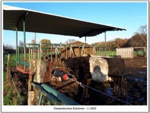 Gelsenkirchen-Scholven im November 2020