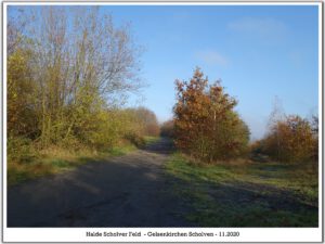 Gelsenkirchen-Scholven im November 2020