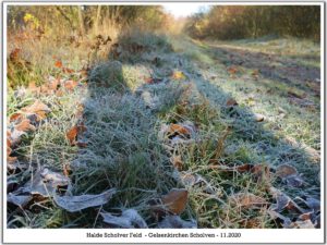 Halde Scholver Feld - Gelsenkirchen-Scholven im November 2020