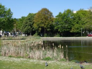 Gelsenkirchen-Ückendorf im April 2020