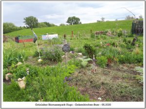 Grünlabor - Zeche Hugo in Gelsenkirchen Buer im Mai 2020