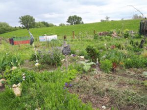 Grünlabor - Zeche Hugo in Gelsenkirchen Buer im Mai 2020