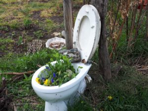 Grünlabor - Zeche Hugo in Gelsenkirchen Buer im Mai 2020