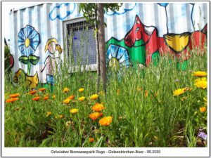 Grünlabor - Zeche Hugo in Gelsenkirchen Buer im Mai 2020