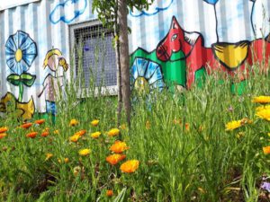 Grünlabor - Zeche Hugo in Gelsenkirchen Buer im Mai 2020