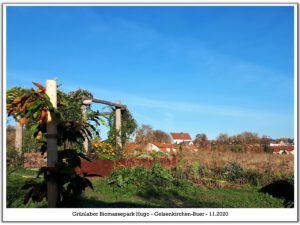 Grünlabor - Zeche Hugo in Gelsenkirchen Buer im Mai 2020