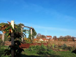 Grünlabor - Zeche Hugo in Gelsenkirchen Buer im Mai 2020