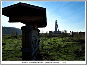 Grünlabor - Zeche Hugo in Gelsenkirchen Buer im Mai 2020