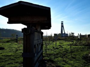 Grünlabor - Zeche Hugo in Gelsenkirchen Buer im Mai 2020