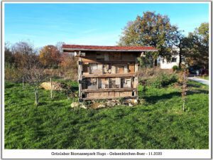 Grünlabor - Zeche Hugo in Gelsenkirchen Buer im November 2020