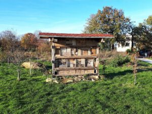 Grünlabor - Zeche Hugo in Gelsenkirchen Buer im November 2020