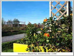 Grünlabor - Zeche Hugo in Gelsenkirchen Buer im November 2020