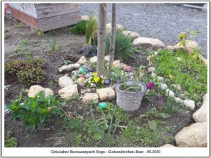 Grünlabor - Zeche Hugo in Gelsenkirchen Buer im Mai 2020