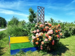 Das Grünlabor Zeche Hugo in Gelsenkirchen Buer im Juni 2021