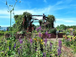 Grünlabor Zeche Hugo in Gelsenkirchen Buer im Juni 2021