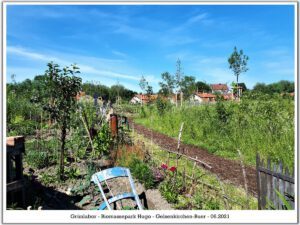 Das Grünlabor Zeche Hugo in Gelsenkirchen Buer im Juni 2021