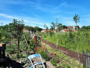 Das Grünlabor Zeche Hugo in Gelsenkirchen Buer im Juni 2021