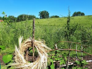 Das Grünlabor Zeche Hugo in Gelsenkirchen Buer im Juni 2021