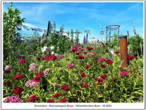 Das Grünlabor Zeche Hugo in Gelsenkirchen Buer im Juni 2021