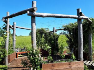 Das Grünlabor Zeche Hugo in Gelsenkirchen Buer im Juni 2021