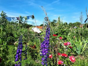 Das Grünlabor Zeche Hugo in Gelsenkirchen Buer im Juni 2021