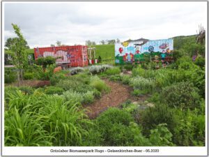 Grünlabor - Zeche Hugo in Gelsenkirchen Buer im Mai 2020