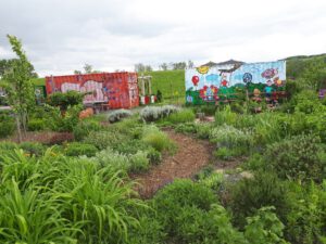 Grünlabor - Zeche Hugo in Gelsenkirchen Buer im Mai 2020