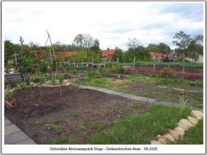 Grünlabor - Zeche Hugo in Gelsenkirchen Buer im Mai 2020