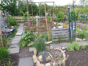 Grünlabor - Zeche Hugo in Gelsenkirchen Buer im Mai 2020