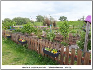 Grünlabor - Zeche Hugo in Gelsenkirchen Buer im Mai 2020