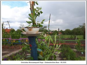 Grünlabor - Zeche Hugo in Gelsenkirchen Buer im Mai 2020