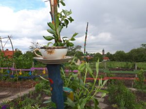 Grünlabor - Zeche Hugo in Gelsenkirchen Buer im Mai 2020