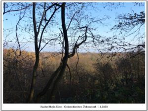 Die Halde Rheinelbe in Gelsenkirchen Ückendorf im November 2020